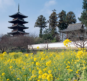 古代ロマンと吉備路 [ 備中国分寺 ]