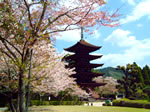 [ 瑠璃光寺五重塔（山口市） ]